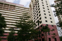 Blk 289E Bukit Batok Street 25 (Bukit Batok), HDB 5 Rooms #338382